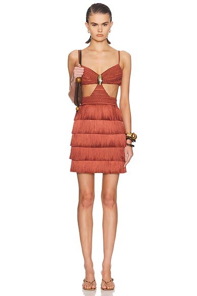 Amethyst Fringe Dress Brown
