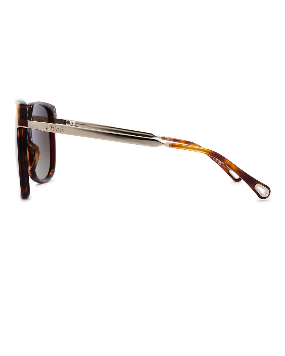 Aly Sunglasses Havana, Gold, & Brown