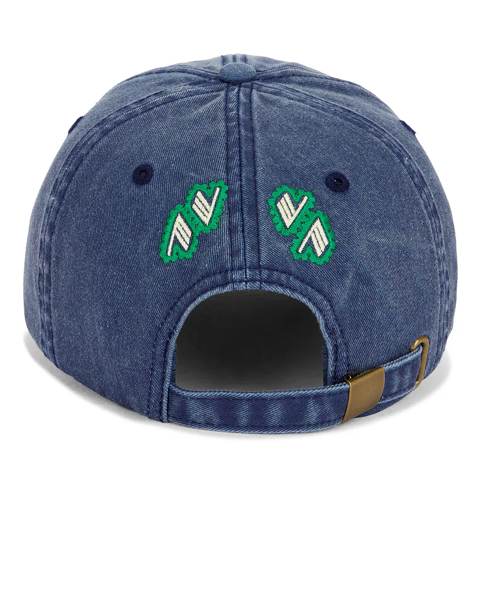 Baseball Hat Purple Blue