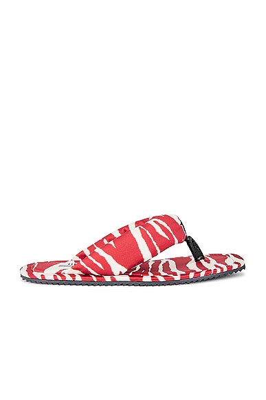 Zebra Printed Indie Flat Thong Sandal Red & Milk