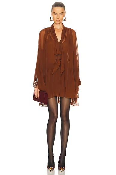 Sheer Long Sleeve Mini Dress Rouille