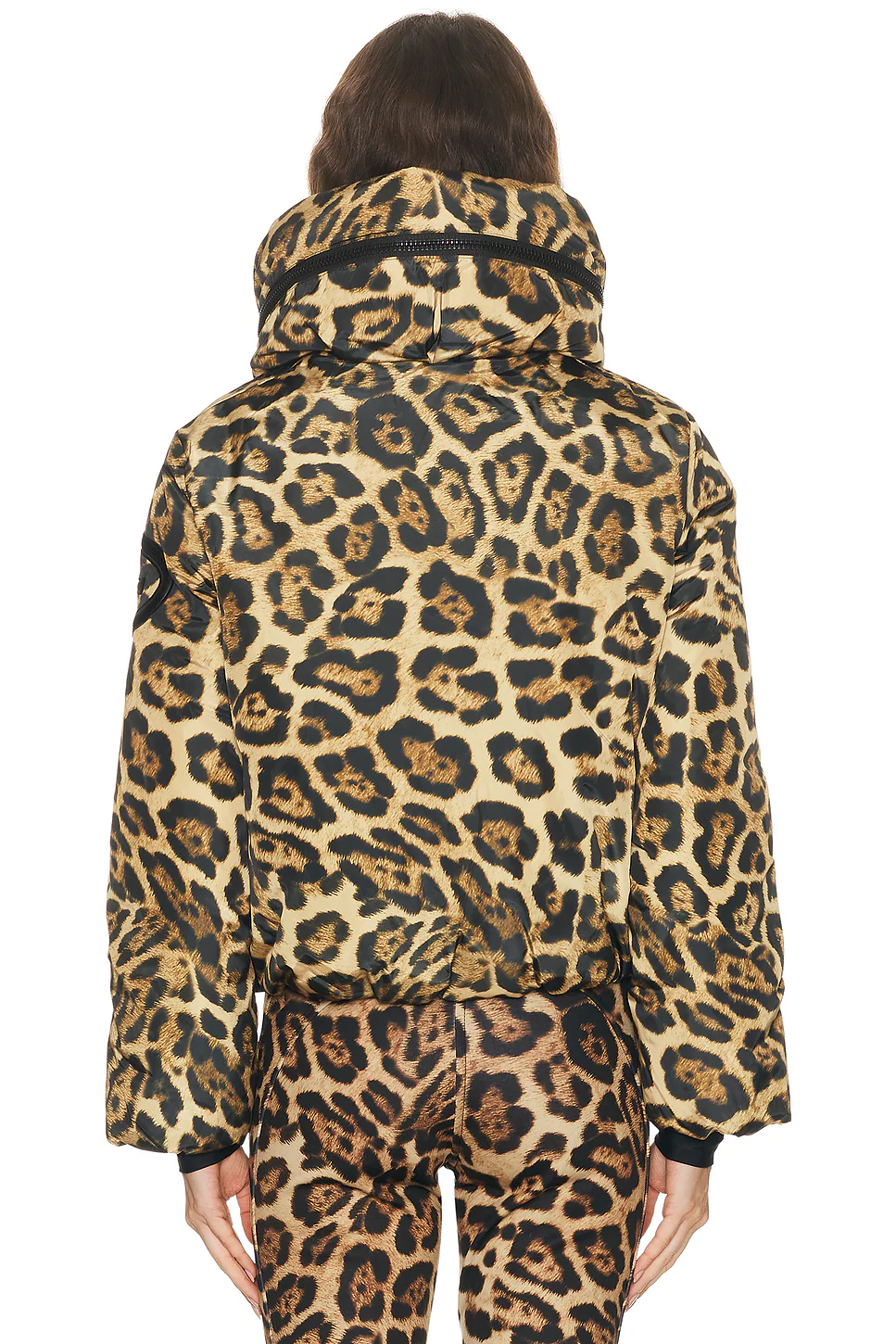 Pantera Ski Jacket Jaguar