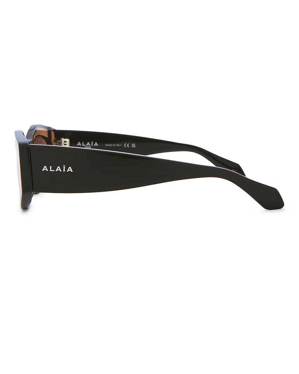 Oval Sunglasses Brown